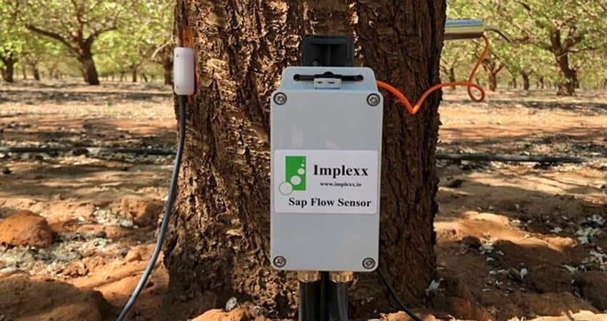 Sensor-flujo-de-savia-Implexx