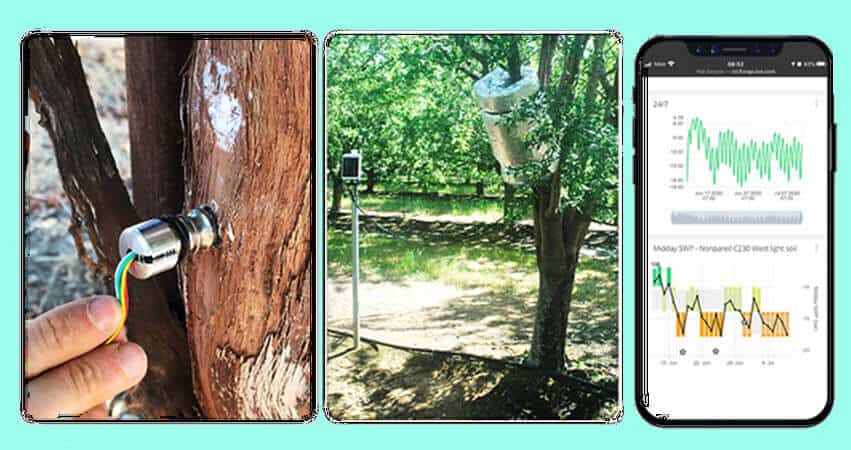 Sensor potencial hídrico Florapulse