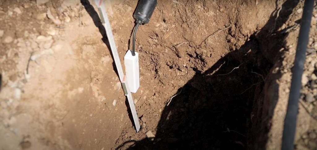 Agua Disponible para la Planta con sondas de humedad del suelo