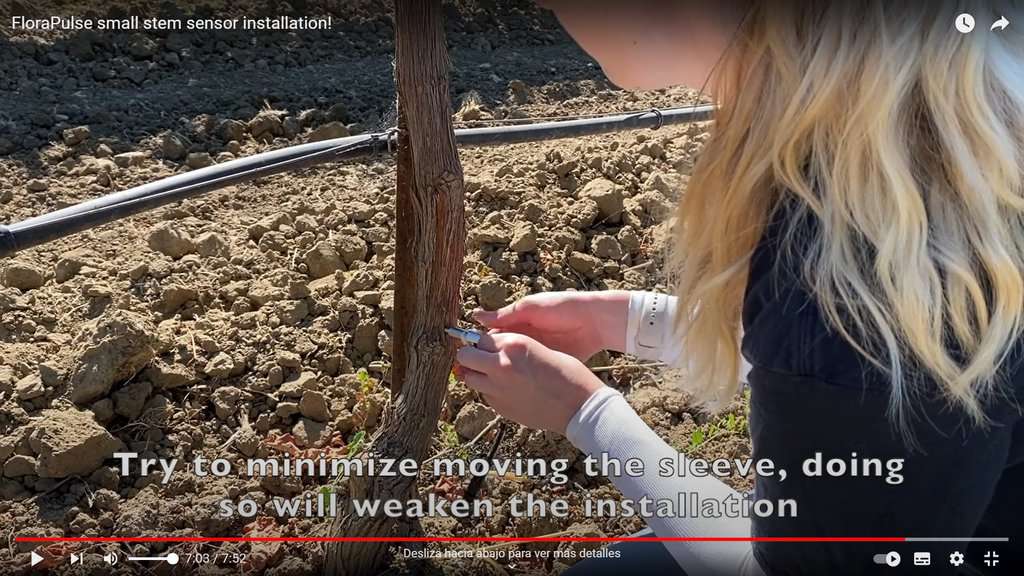 Nuevo vídeo de instalación del sensor FLORAPULSE