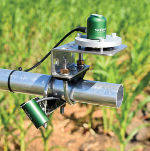 SENSOR NDVI