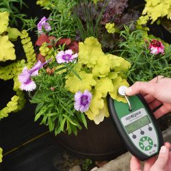 MEDIDOR DE CLOROFILA